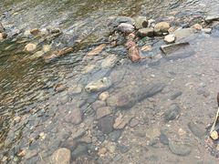 -白河湾生态旅游一条川