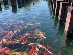 -宁波杭州湾国家湿地公园