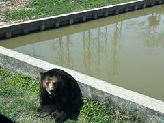-上海野生动物园