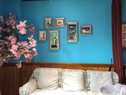 -星豆豆儿童摄影(南郊太白南路店)