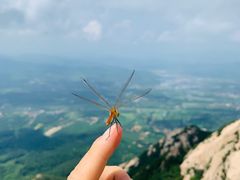 -丹东凤凰山景区