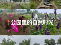 -汉长安城未央宫国家考古遗址公园