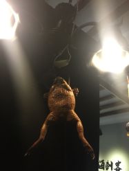 -上海刺客纹身