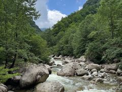 -青峰峡国家森林公园