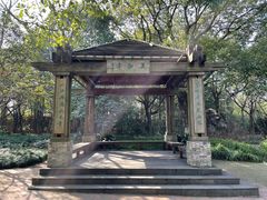 -上海吴淞炮台湾国家湿地公园