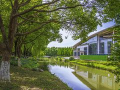 -昆山城市生态森林公园