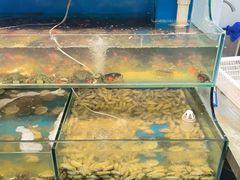 -仙螺岛海鲜自助餐厅(总店)