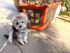-开福禅寺