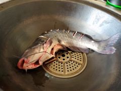 -北京龙庆四季香农家饭庄·灶台鱼·碳烤虹鳟鱼(龙庆峡店)