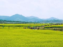 -光明小镇欢乐田园