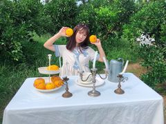 -柑橘农场