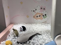 -MINI MARS KIDS CLUB亲子家庭中心(长宁天山店)