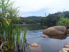 -深圳仙湖植物园