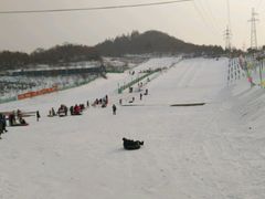 -五家山森林公园滑雪场
