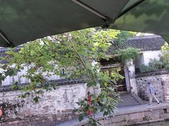 -鸣鹤古镇