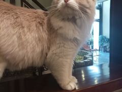 -一盃山水咖啡茶馆