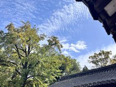 -兴福禅寺