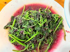 -洞子口陈氏凉粉