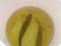 -灞河西岸滨河公园