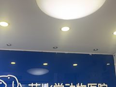 -芭比堂动物医院·心脏科·老年急重症·夜诊·吉雅分院
