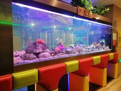 -御池园(顾村公园店)