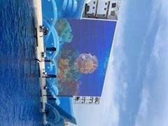-上海海昌海洋公园