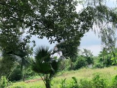 -三圣花乡旅游区