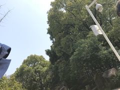 -白马涧龙池景区