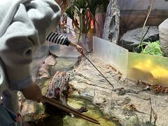 -正佳雨林生态植物园