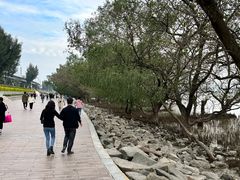 -宝安西湾红树林湿地公园