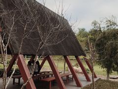 -神光山国家森林公园