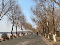 -丁香湖公园