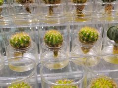 -KKV(深圳宏发大仟里店)