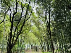 -兰亭风景区