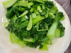 炒青菜-金海湾海鲜排档(朱家尖店)