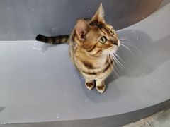 -极木²邸 人与宠物·互动社区