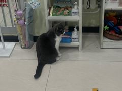 -悦宠凯宝动物医院·牙科·皮肤科(朝阳北路店)