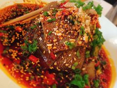 鲜椒毛肚-大鸭梨烤鸭(石佛营店)