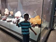 -湖南省地质博物馆