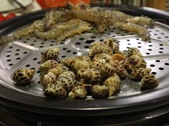 -黄寺蒸汽海鲜(黄寺大街店)