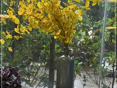 -六个大厨·秘制粤菜(广州塔店)