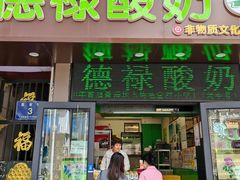 -德禄酸奶(莫家街店)