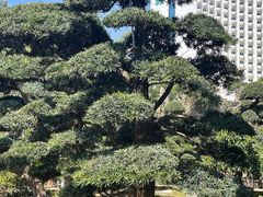 -华雅花园大酒店