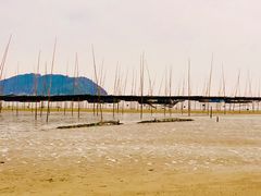 -小皓村