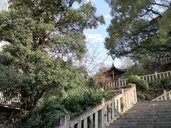 -乌山风景区