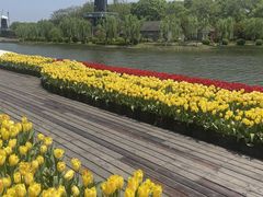 -上海鲜花港