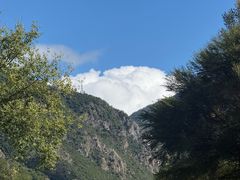 -九寨沟-树正沟