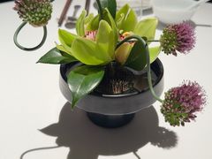 -徽季荣派徽菜