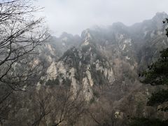 -王顺山国家森林公园