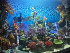 -暹罗海洋世界
